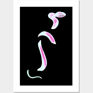 snek 8 Posters and Art